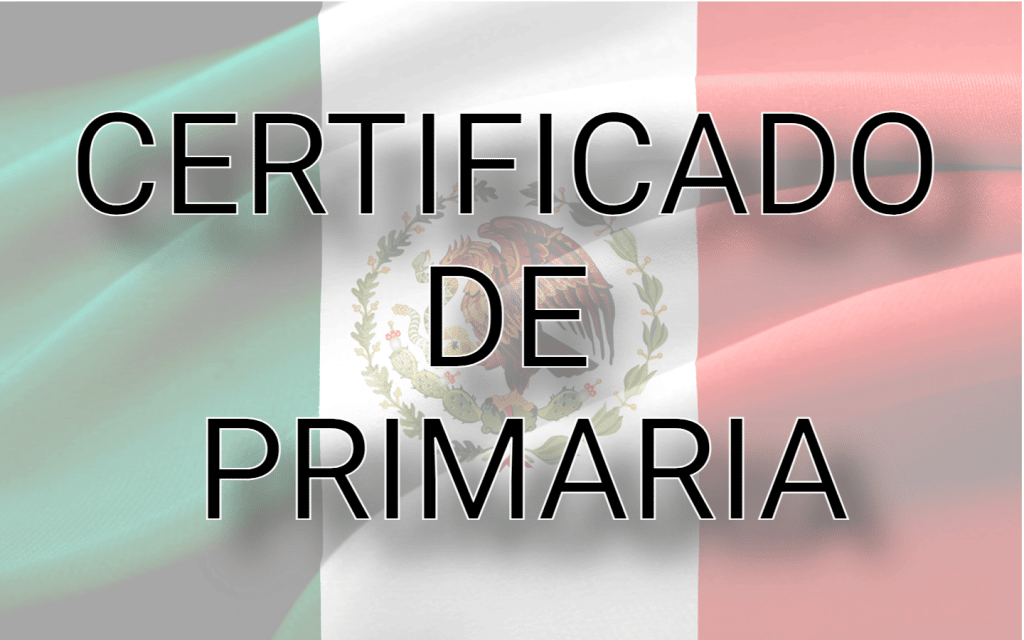 Certificado de primaria México [ 2022 ]